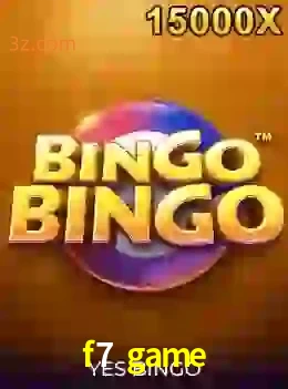 bingobingo